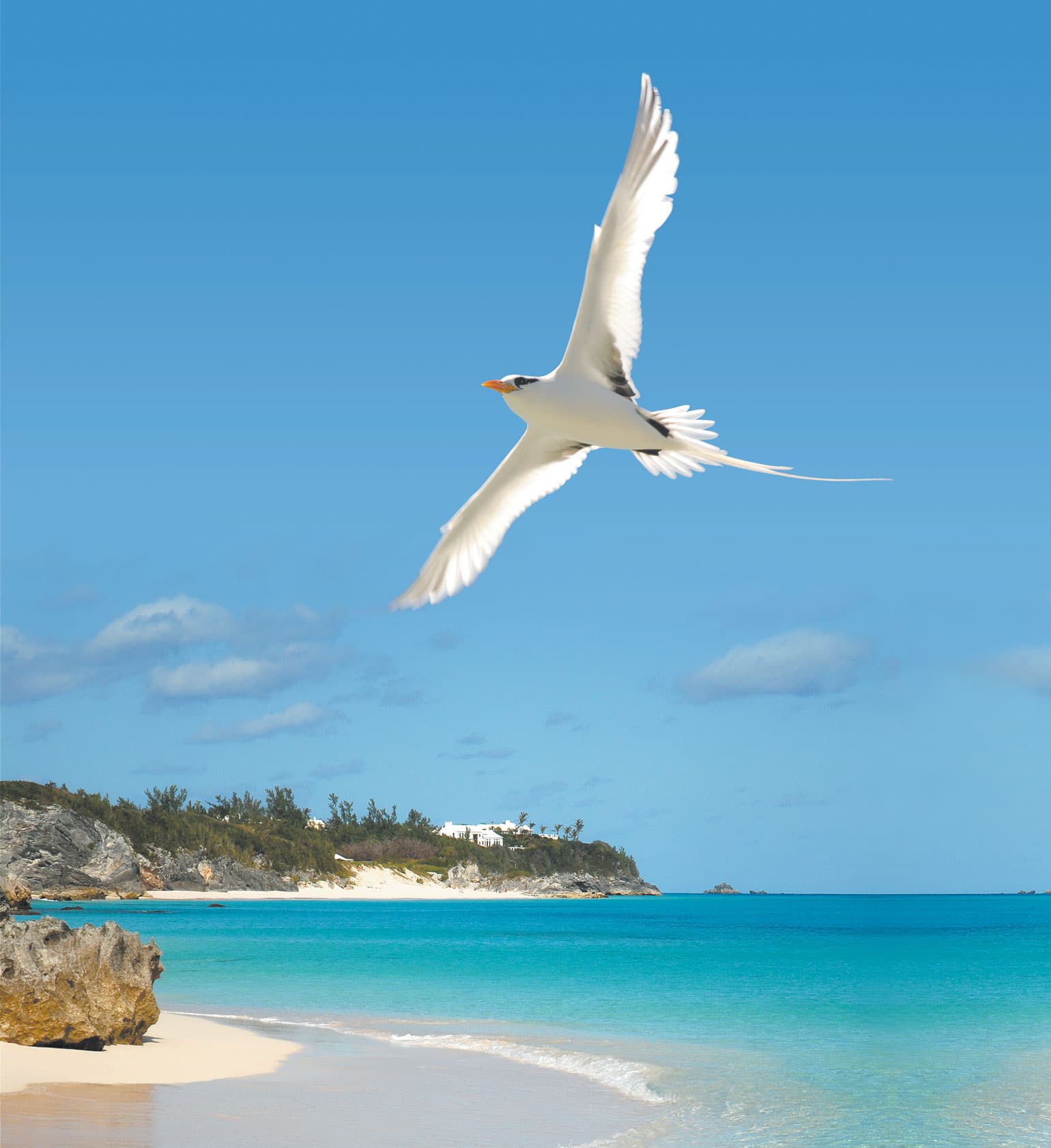 Longtail Luxury Collection: White-glove, by design.